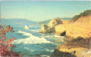 Tillamook Oregon Coastal Color Card June 1950s Postcard