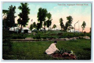 c1905 Woman in Garden Tent City Algonquin National Park Ontario Canada Postcard