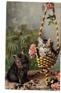 Kittens, Somebodys Pets, A&G Taylor, Orthchrome Postcard 308, Used Ontario