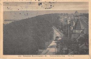 Ostseebad Germany Brunshaupten Scenic View Antique Postcard J79772