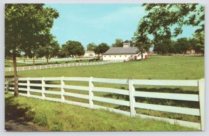 Kodachrome~Picturesque Horse Farm~Heart Of Bluegrass Region~Lexington KY~Vintage