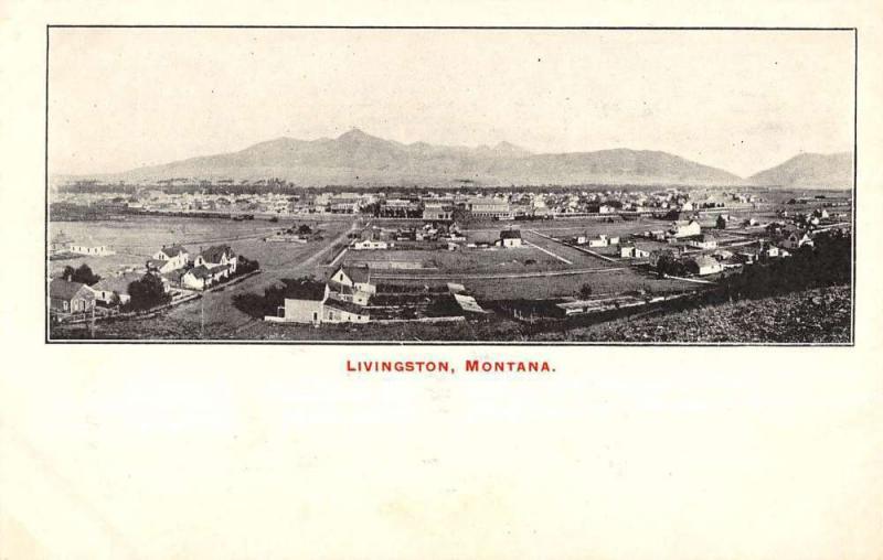 Livingston Montana Birdseye View Of City Antique Postcard K59943