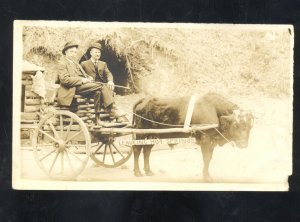 RPPC HOT SPRINGS NATIONAL PARK ARKANSAS OXEN DRAWN WAGON REAL PHOTO POSTCARD