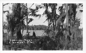 J35/ Clermont Florida RPPC Postcard c1940s Spanish Moss Trees 52