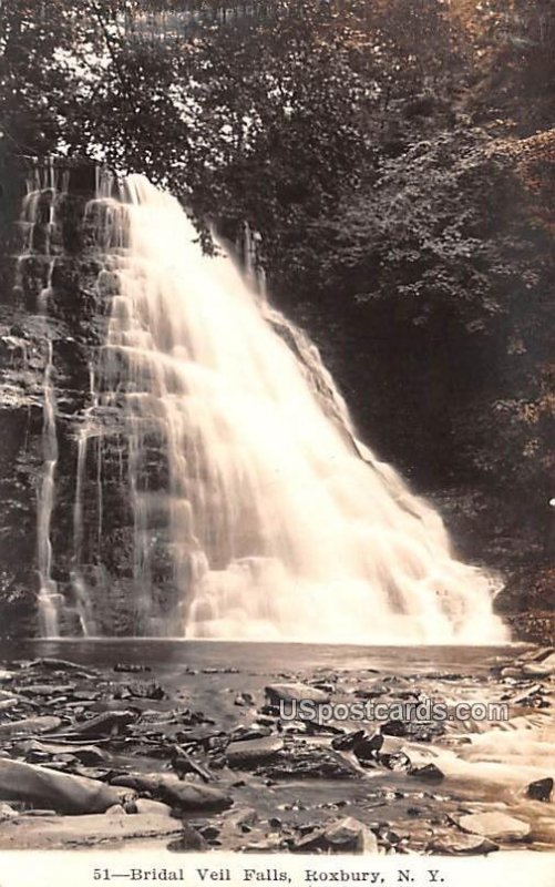 Bridal Veil Falls - Roxbury, New York NY  