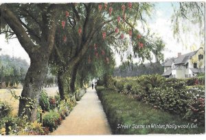 Street Scene in Winter Hollywood California Mailed 1908