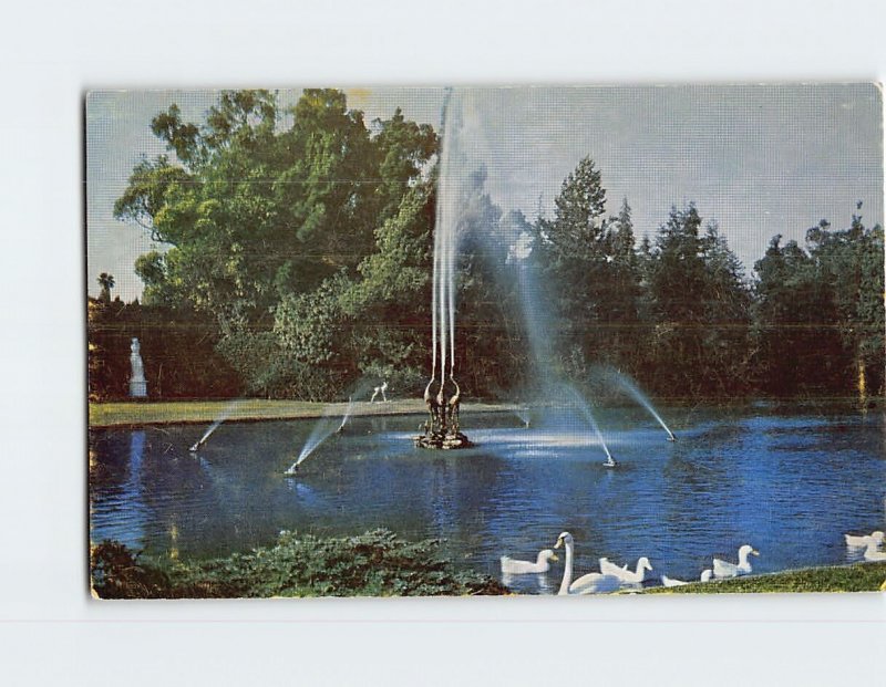 Postcard Duck Pool Forest Lawn Memorial Park Glendale California USA