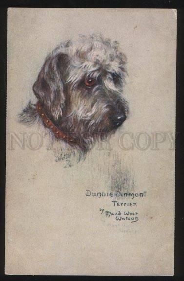 101314 Grey DANDIE DINMONT TERRIER by WATSON vintage TUCK PC