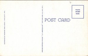 Postcard Main Street, Looking North in Pine Bluff, Arkansas