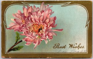 1912 Best Wishes From Flora Flower Large Print Greetings Card Posted Postcard