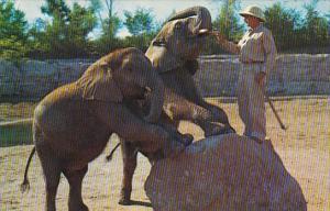 Swope Park Kansas City Missouri