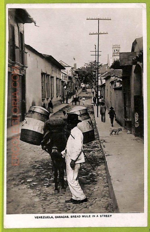 af2944 - VENEZUELA - VINTAGE POSTCARD - Caracas - Bread Mule in a street