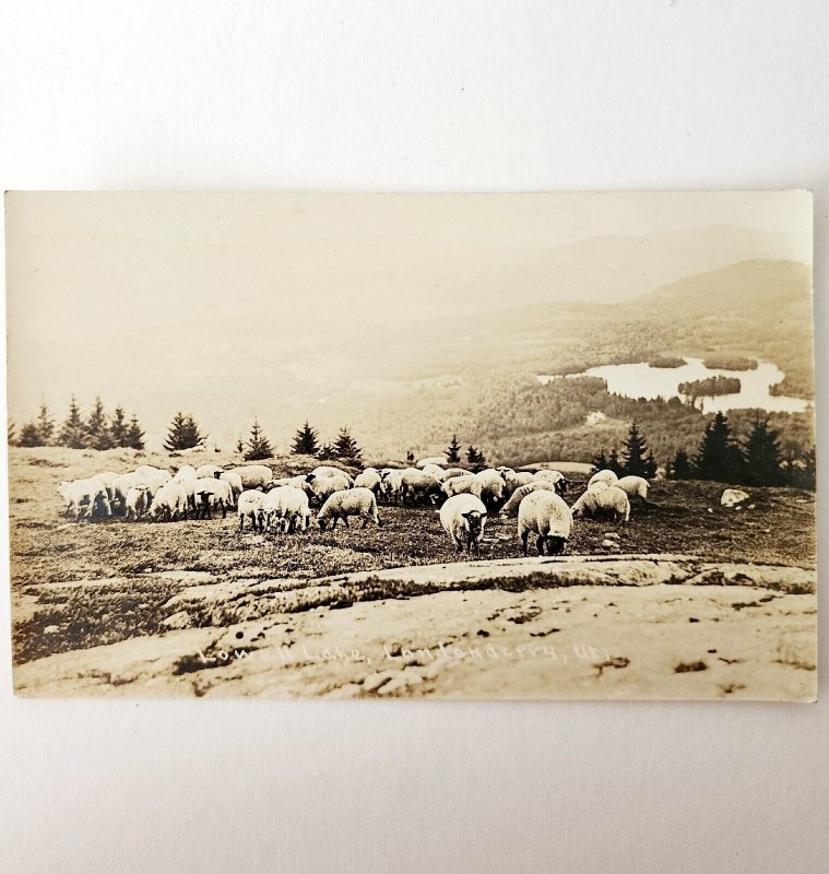 RPPC Utah Lowell Lake 1900-1910s Sheep Farm Londonberry Landscape PCBG7A