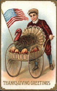 Thanksgiving Little Boy with Patriotic Turkey in Cart c1910 Vintage Postcard