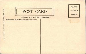 Aurora Illinois IL High School Fox Street c1910 Vintage Postcard