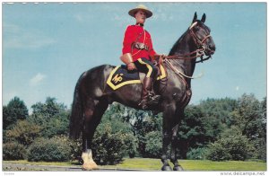CANADA, 1940-1960's; A Member Of The Famed Royal Canadian Mounted Police