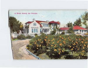 Postcard - A Home Among the Oranges - California