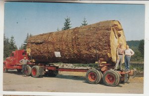 P2464, vintage postcard hugh log on tractor and trailer from oregon forests