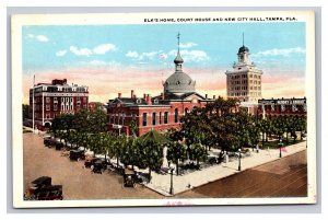 Vintage 1920s Postcard Elk's House Court House and New City Hall Tampa Florida
