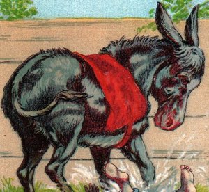 1881 G.A. Shoudy Coccanut (Coconut) Soap Adorable Donkey F142