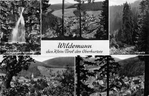 BG23107 wildemann das klein tirol des oberharzes  germany CPSM 14x9cm