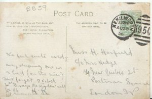 Warwickshire Postcard - Kenilworth Castle - Rustic Bridge - Ref TZ6756