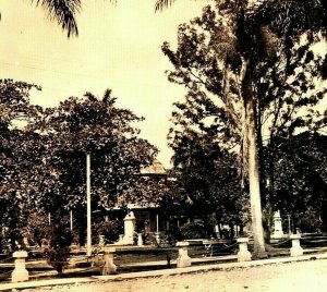 RPPC La Ceiba Honduras City Park View UNP 1924-49 AZO Postcard