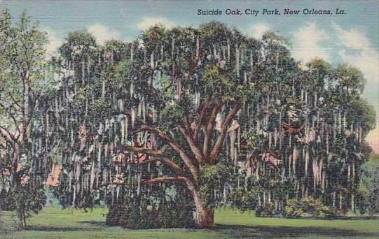 Suicide Oak City Park New Orleans Louisiana Curteiclh