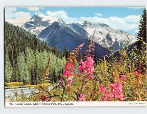 Postcard Glacier National Park, The Asulkan Glacier, Canada