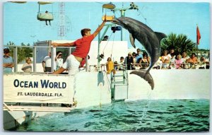 M-55631 Porpoise Jumping in Ocean World Fort Lauderdale Florida