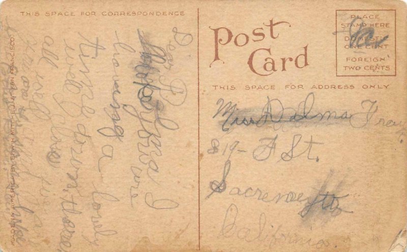 Roosevelt Big Tree, Shasta Springs, CA SPRR c1910s Mitchell Vintage Postcard