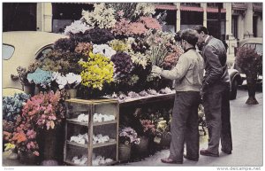 Sidewalk Flower Stands, San Francisco, California, PU-1951