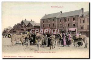 Berck Plage - Le Rendez Vous des Anes - Donkey - Old Postcard