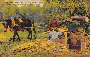 Making Molasses by Mule Power Missouri Ozarks, USA Farming Equipment Unused 