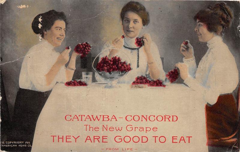 D63/ Advertising Postcard c1910 Little Silver New Jersey Lovett Catawba Grapes