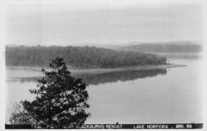 RPPC TEAL POINT NEAR BLACKBURNS RESORT LAKE NORFOLK ARKANSAS REAL PHOTO POSTCARD