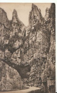 Somerset Postcard - The Pinnacles - Cheddar - Ref TZ10655