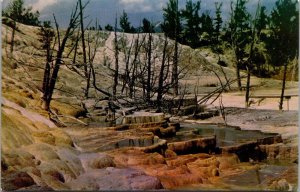 Yosemite National Park Mammoth Hot Springs Terraces