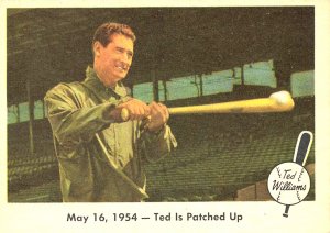 1954 Ted Williams Ted Is Patched Up Card Number 51