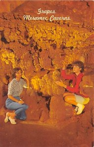 Grapes Stanton, Missouri  USA Grapes Stanton, Missouri  USA