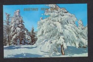 IL Greetings from FLORA ILLINOIS ILL Postcard PC Snow