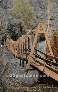 Swinging Bridge - Santa Cruz, CA