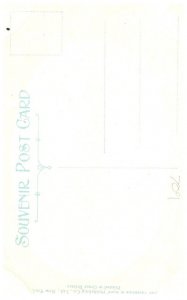 New Hampshire  Franklin Twin Pine Tree