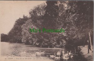 France Postcard - Lyon - Parc De La Tete d'Or - Le Coin Aux Cygnes RS32402