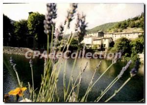 Postcard Modern Valleraugue Atmosphere Fleurie