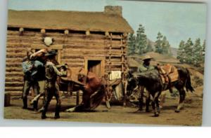 Denver CO Museum Pony Express Postcard