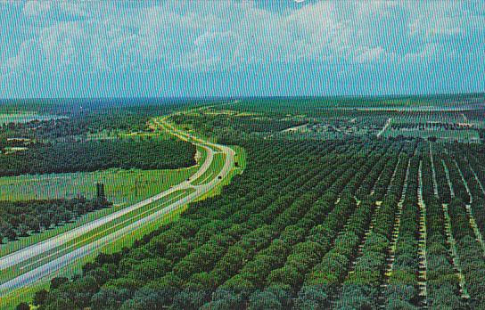 Orange Groves From Florida Citrus Tower Clermont Florida