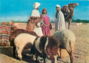 Postcard Africa native ethnic morocco  folklore ritual pottery trade sheep