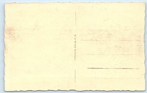 Alger - Place du Gouvernment ALGERIA Postcard