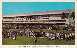 Florida Hallandale In The Paddock At Gulfstream Park Horse Racing